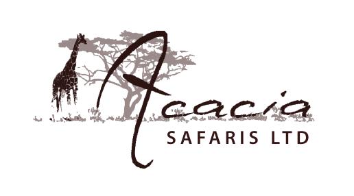 Start planning your safari trip with a local expert that would help you experience Africa on your own terms.