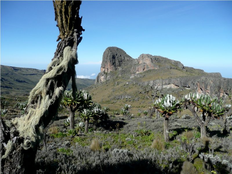 Mount Elgon Hiking Safari Uganda