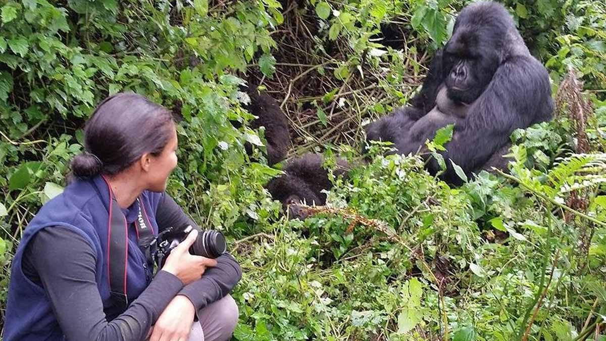 Uganda Gorilla Trekking Safaris Bwindi