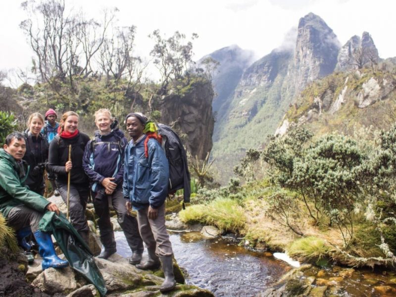 Uganda Safaris