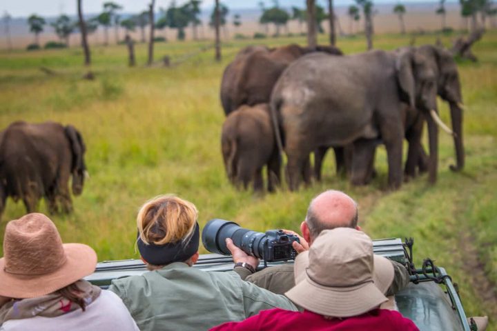 Game drives in Uganda