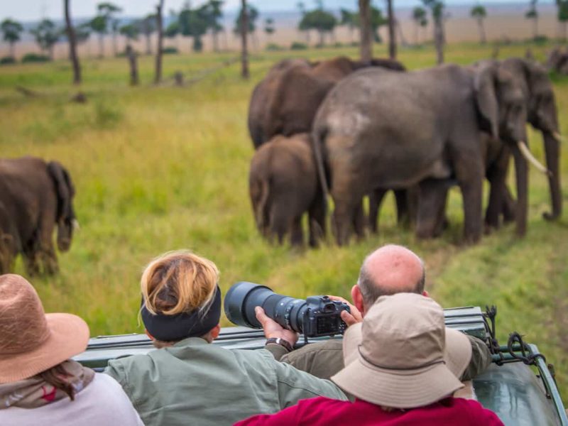 Game drives in Uganda