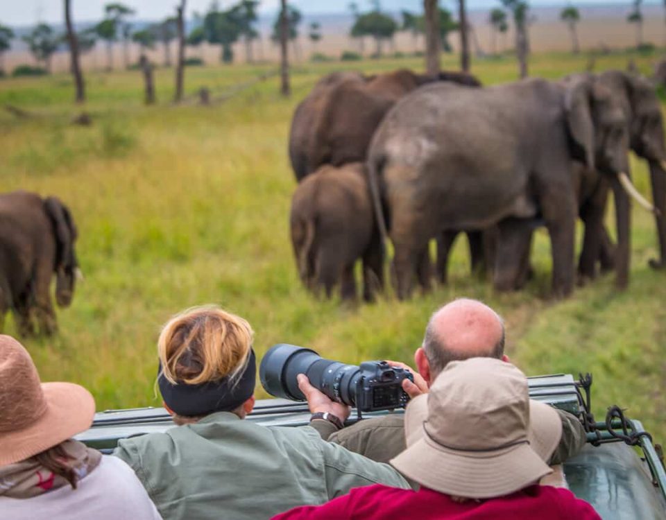 Game drives in Uganda