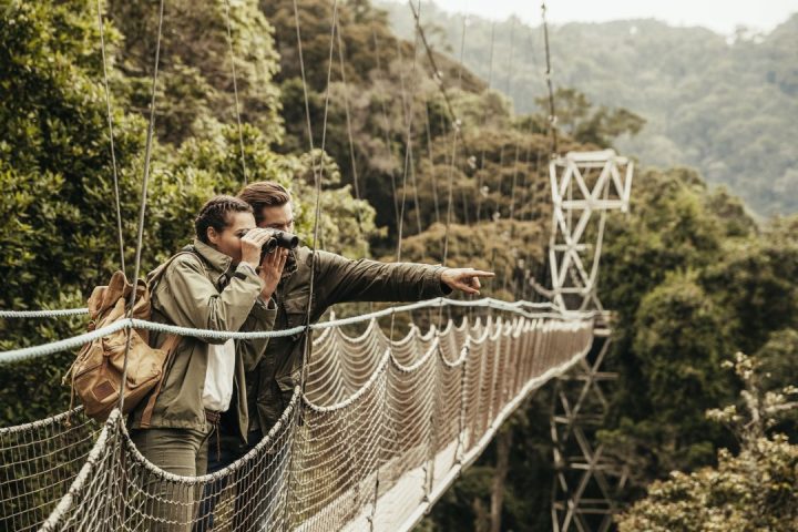 Canopy Walking Safaris in Rwanda