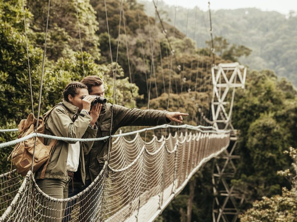 Canopy Walking Safaris in Rwanda