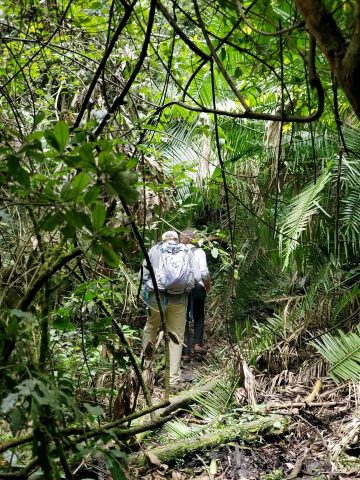 Walking Safaris in Uganda