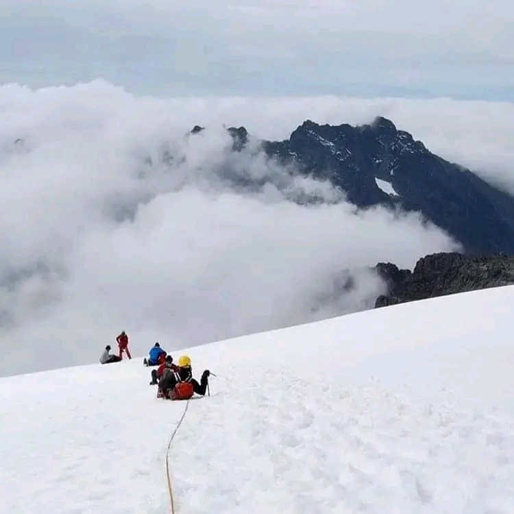 Hiking the Rwenzori Mountains