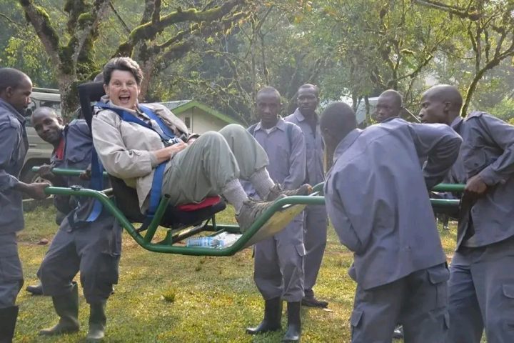 Gorilla trekking for the Elderly-seniors and disabled