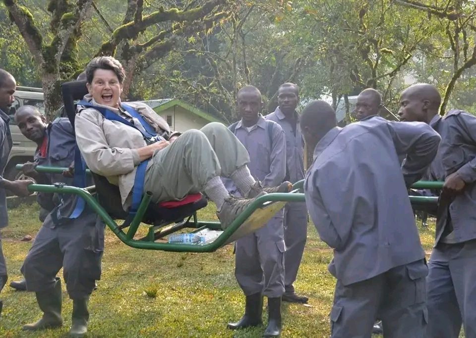 Gorilla trekking for the Elderly-seniors and disabled