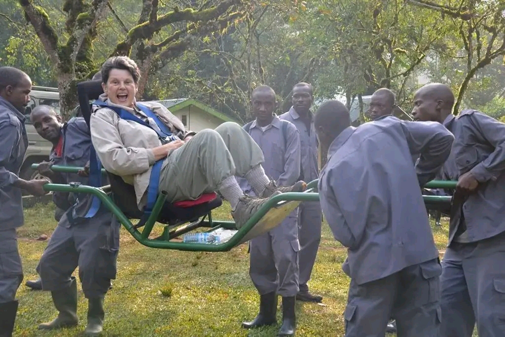 Gorilla trekking for the Elderly-seniors and disabled