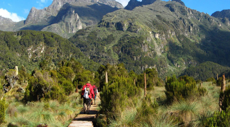 Mountaineering In Uganda